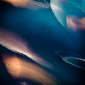 ALLES IN BEWEGUNG. -02-