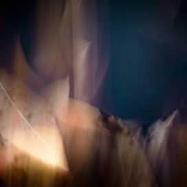 swimming leaves. -02-