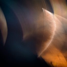 swimming leaves. -03-