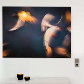 swimming leaves. -01-