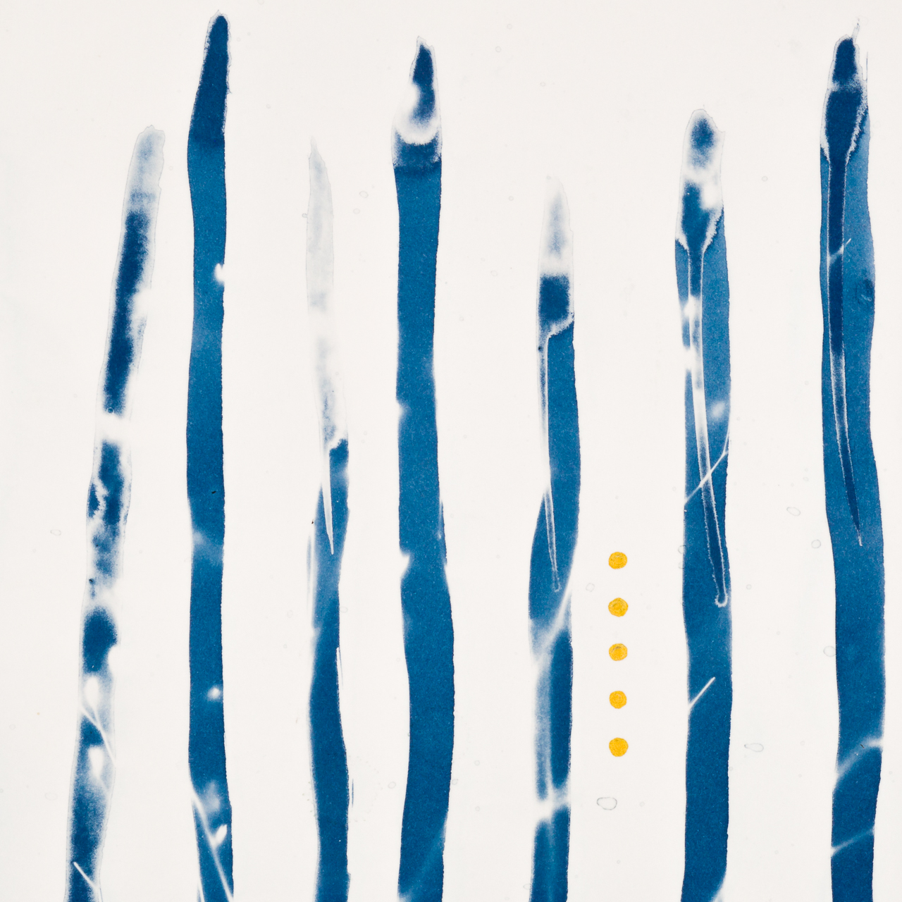 cyanotypie. 01 – Bild 3