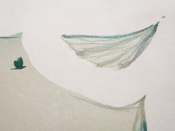 free birds. -08- – Bild 5