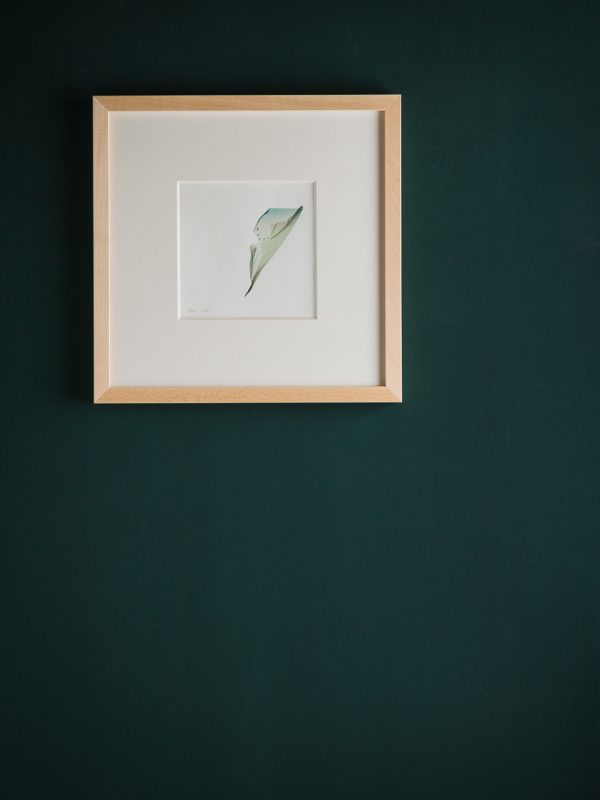 free birds. -04- – Bild 2