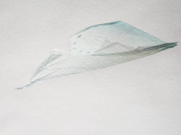 free birds. -04- – Bild 3