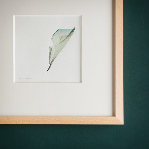 free birds. -04- – Bild 4