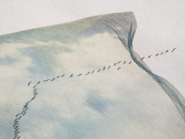 free birds. -02- – Bild 6