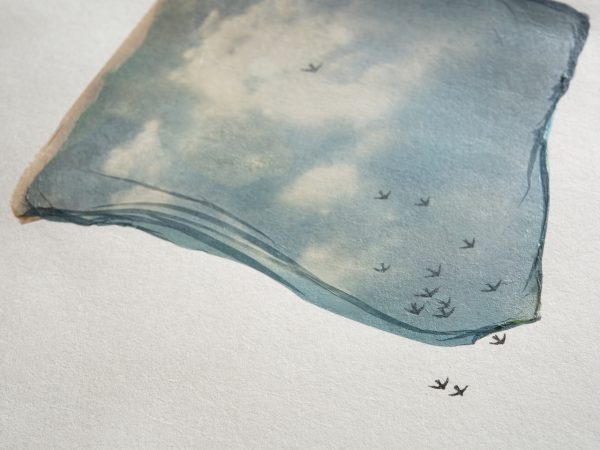 free birds. -01- – Bild 3