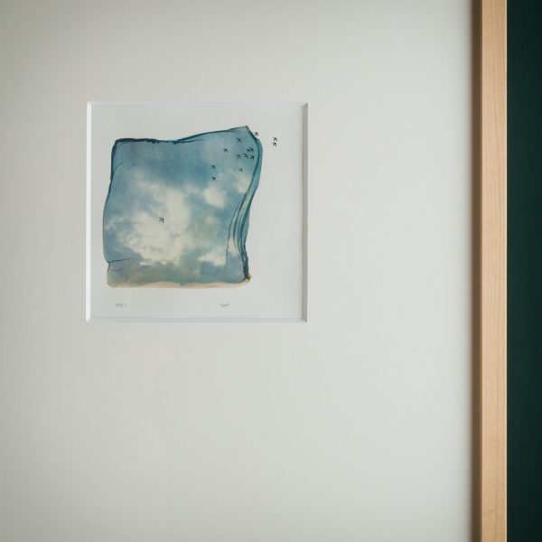 free birds. -01- – Bild 4