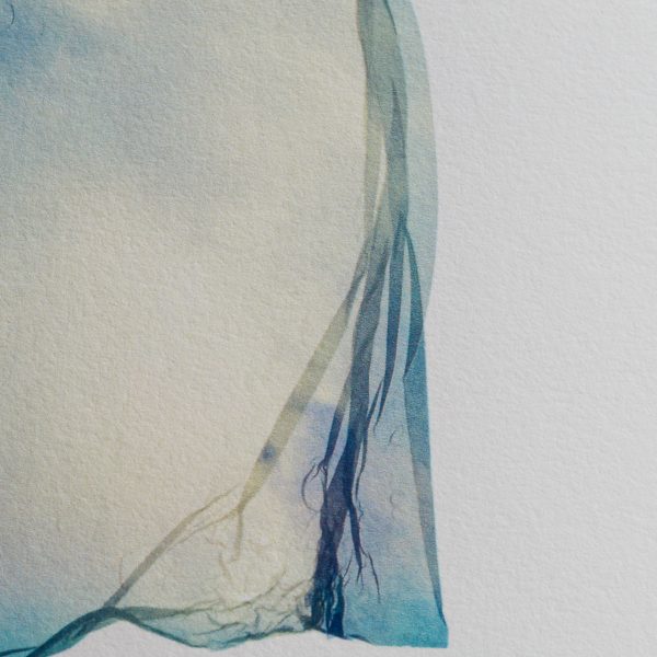 free birds. -02- – Bild 3