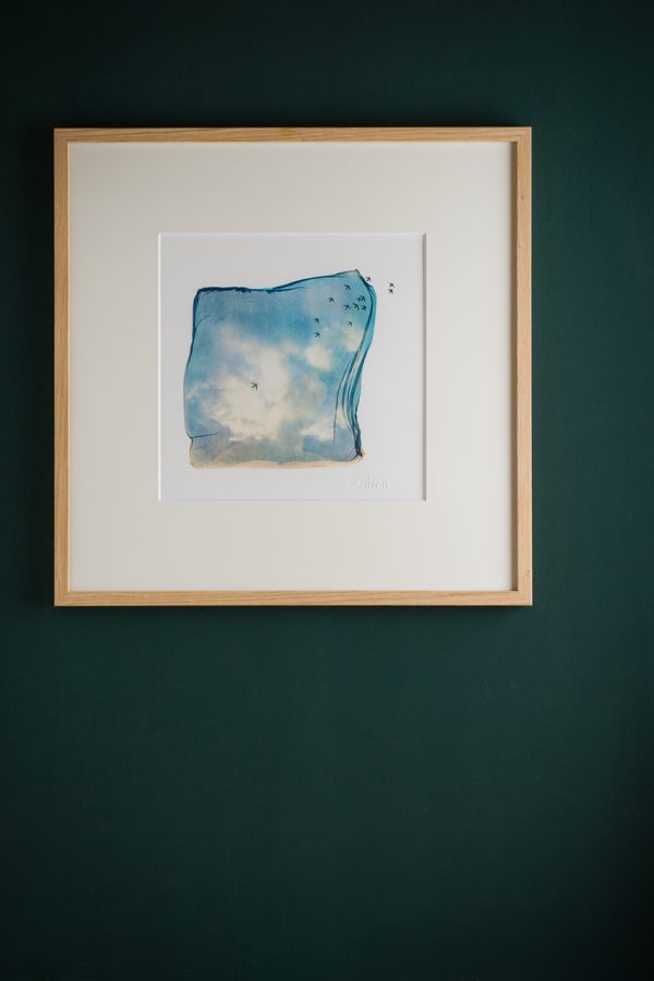 free birds. -01- – Bild 4